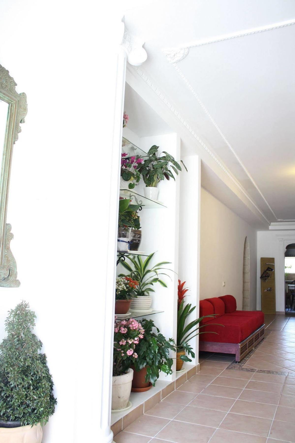 Al Yakhour Hostel Haifa Eksteriør bilde
